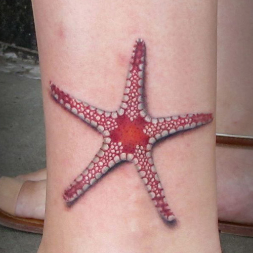что значит звезда на ноге. sea star tattoo 3. 