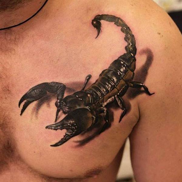 Эскизы мужских татуировок со скорпионом